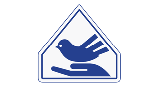 Центр содействия семейного воспитания «Синяя птица»